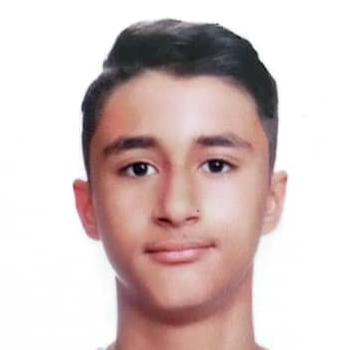 آرتین وکیلی